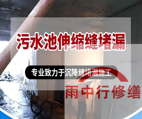 泉州2026年高分子防水卷材成高端市场主流，光伏屋面需求爆发